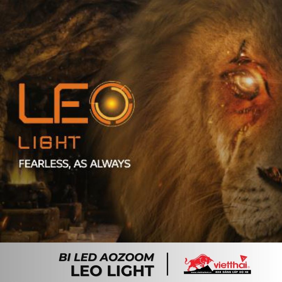 Bi LED AOZOOM LEO Light