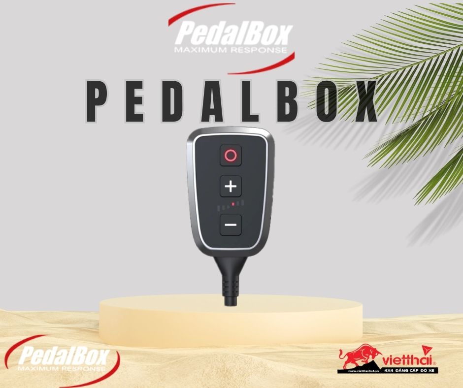 CHIP CHÂN GA PEDALBOX 10723729 CHO CÁC DÒNG XE HYUNDAI & KIA